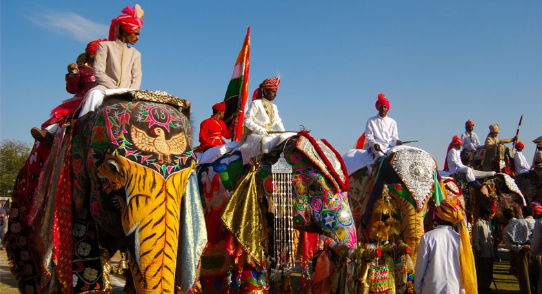 Elephant Festival in Jaipur